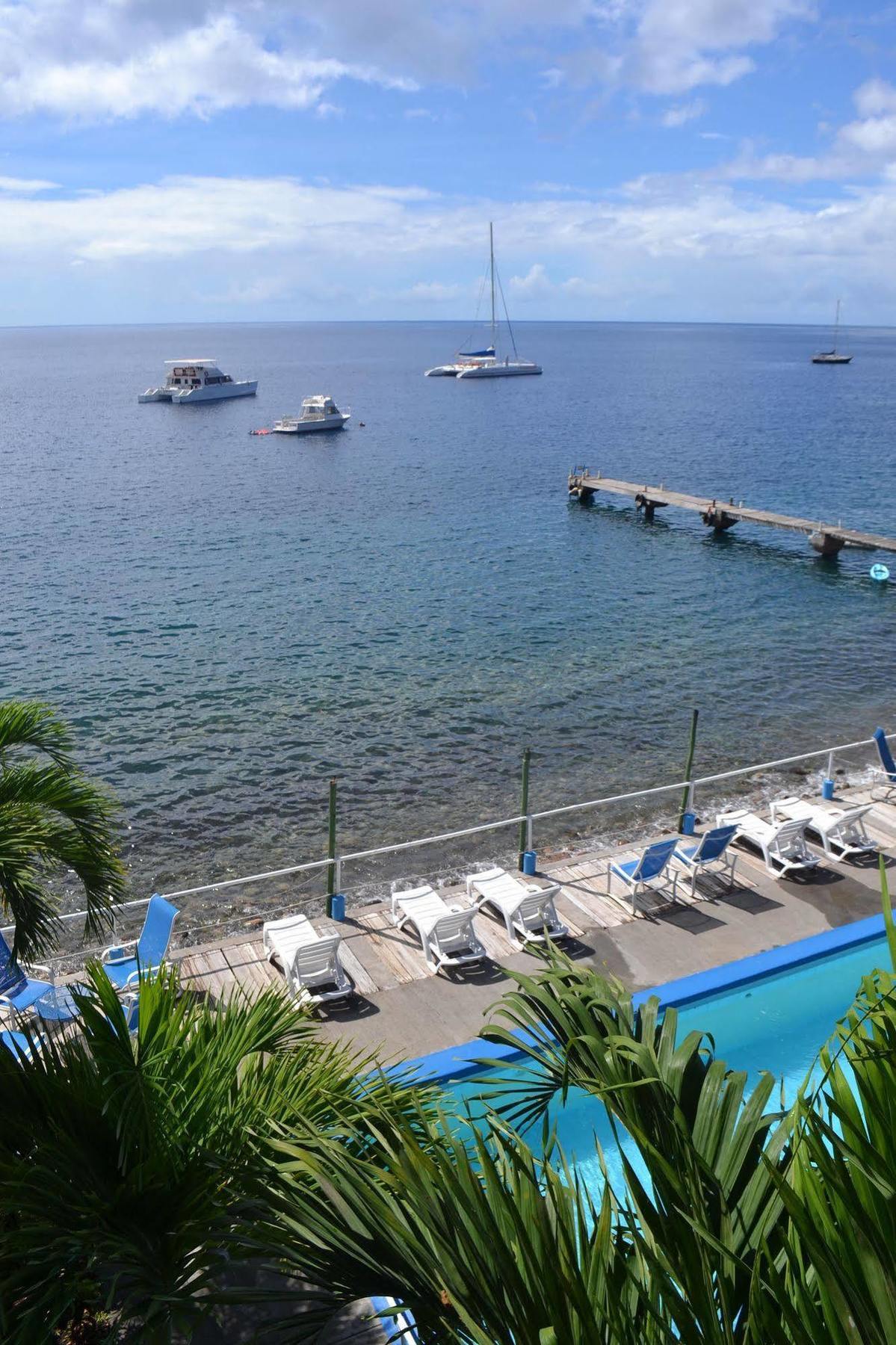 Anchorage Hotel, Whale Watch & Dive Center 3* Roseau