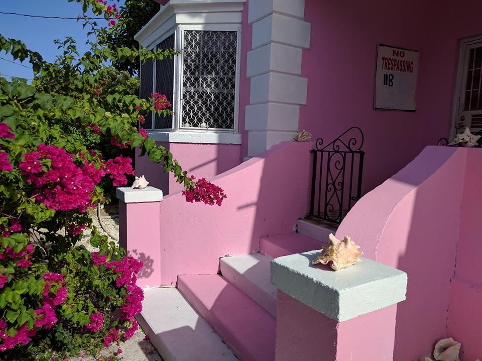 Albergue Da Pink And White Palace