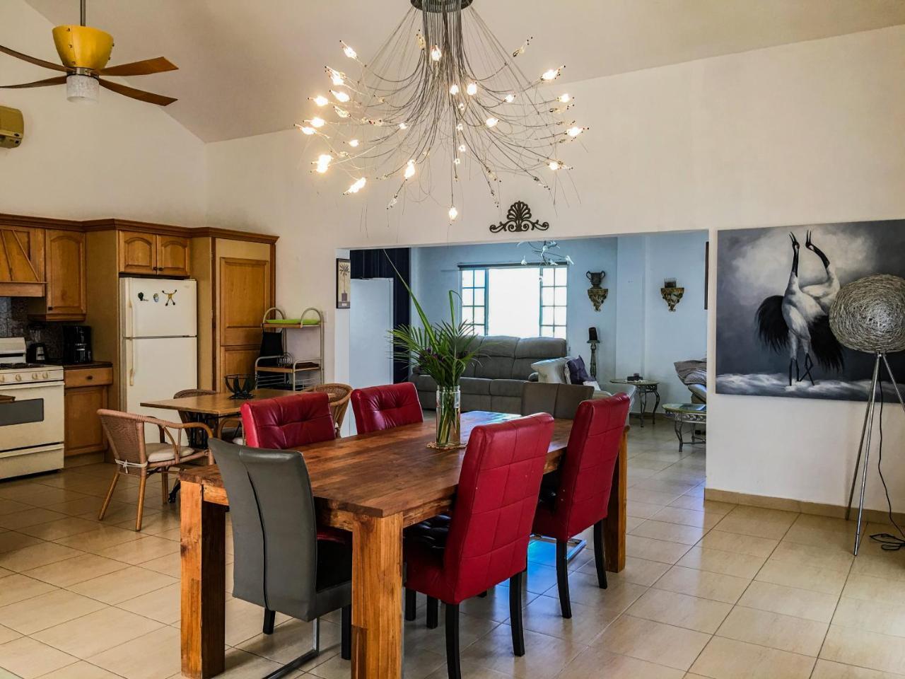 Paradise With Private Pool And Jacuzzi Not Heated * Palm Beach