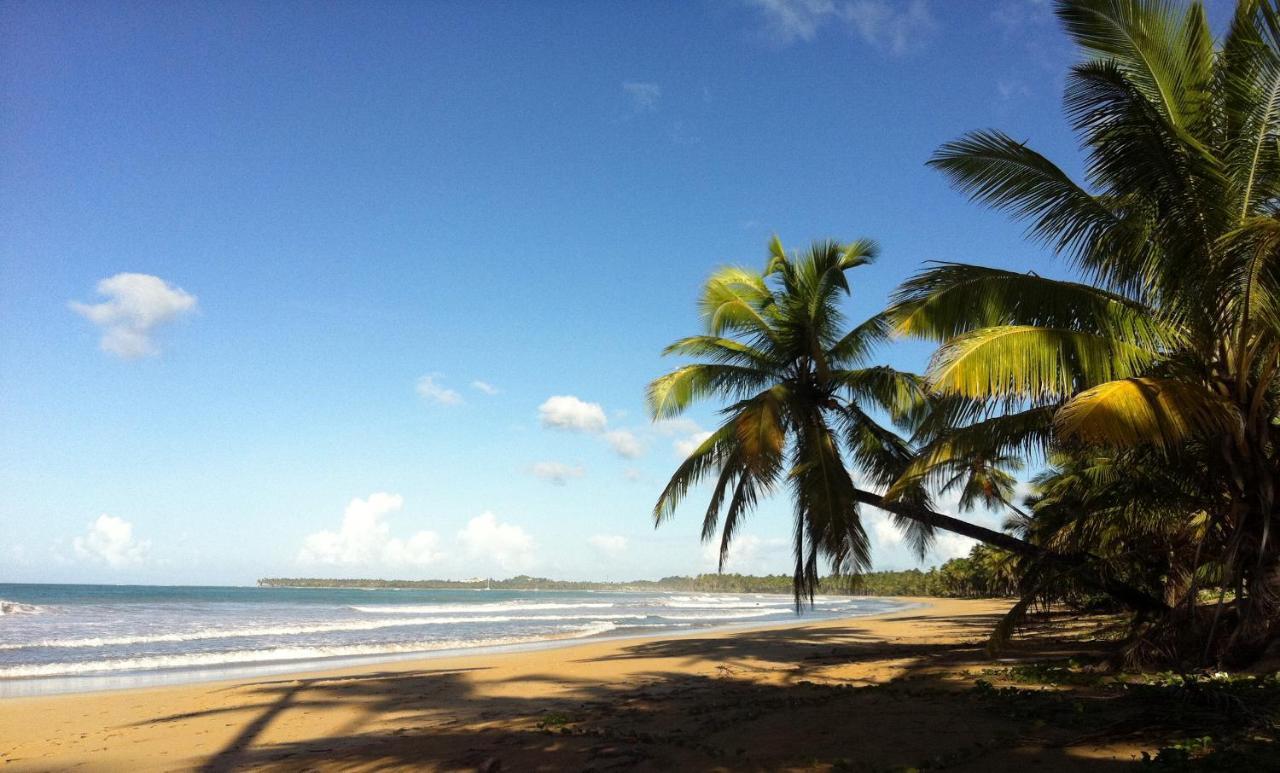 The Peninsula House Las Terrenas