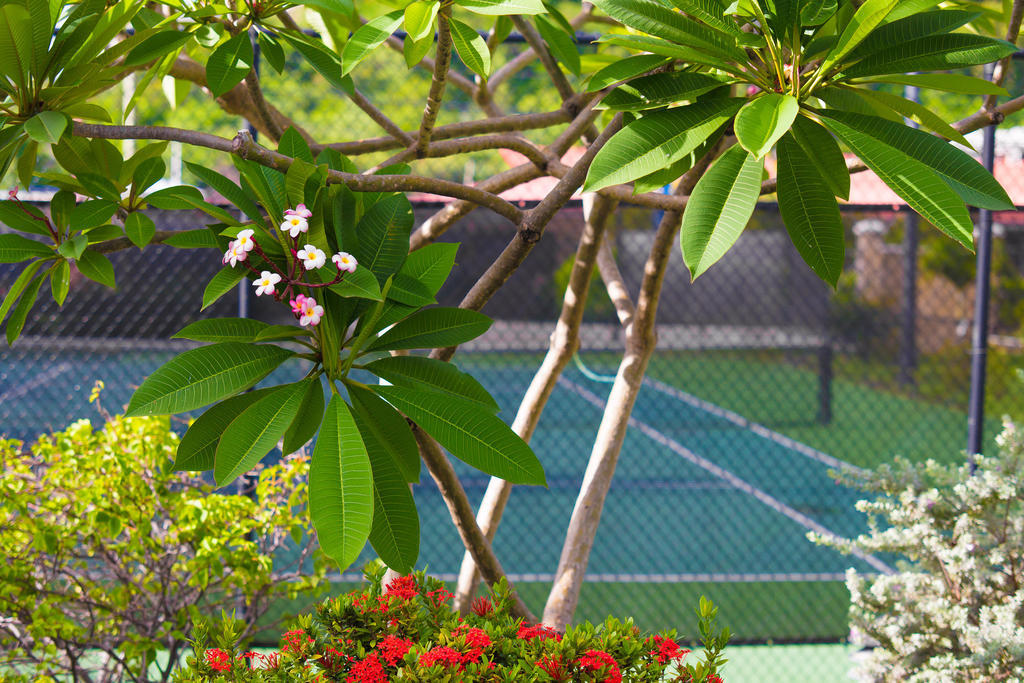Resort Coyaba St. George's