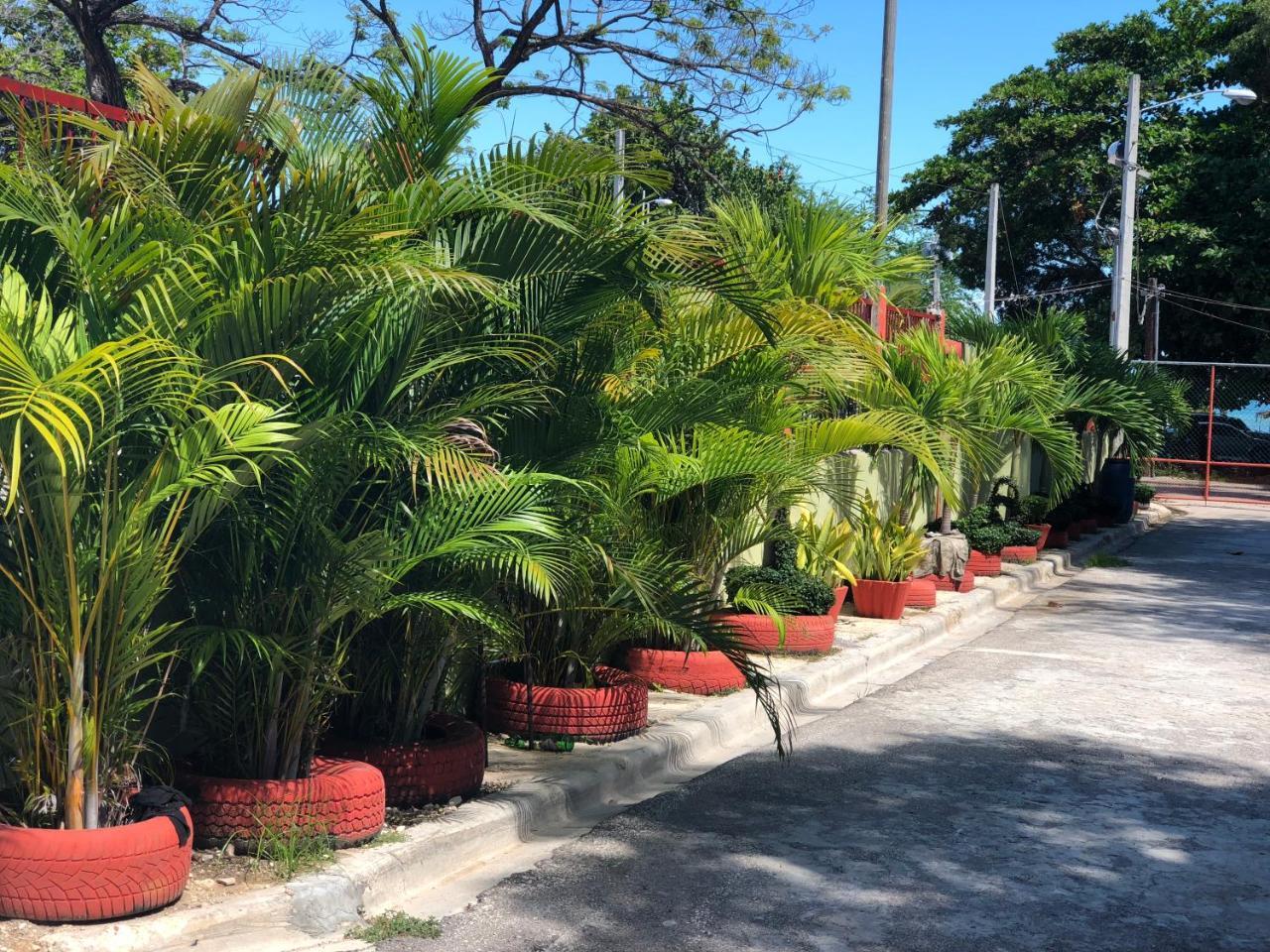 Guarocuya De Hotel Barahona