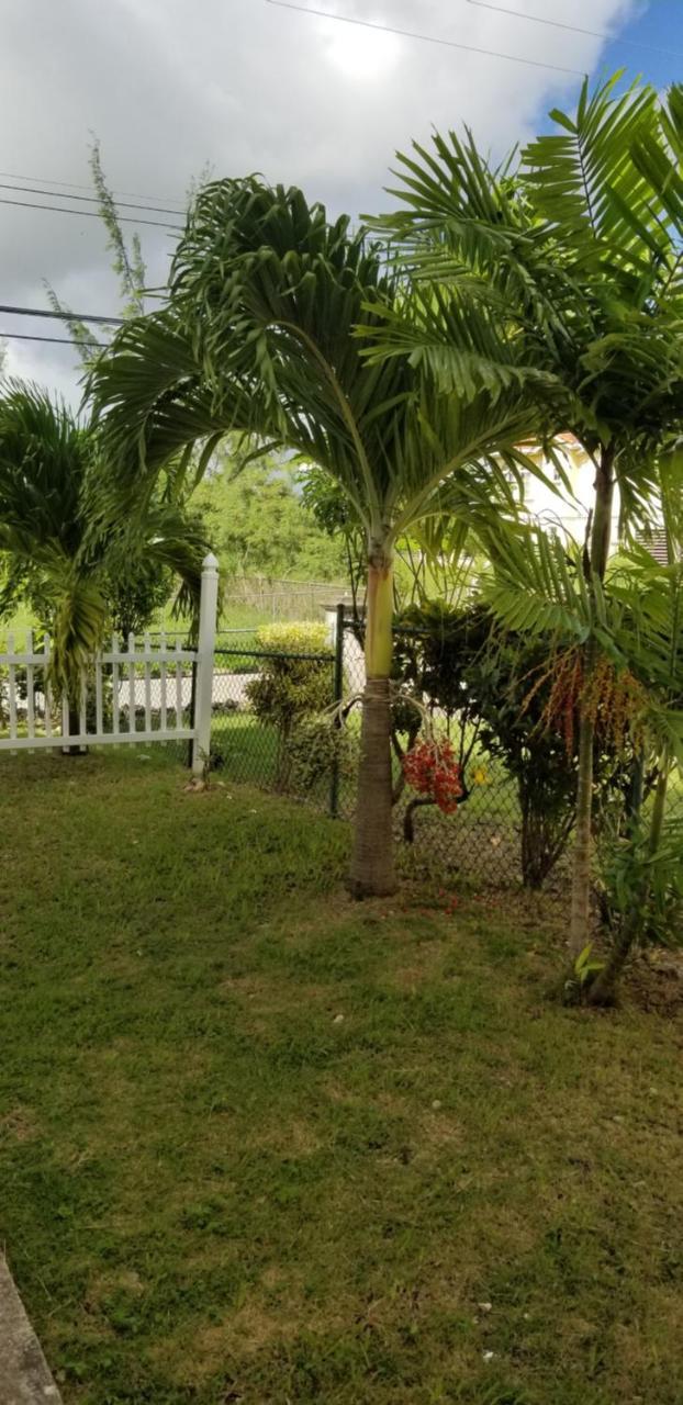 Guest house Cynson *