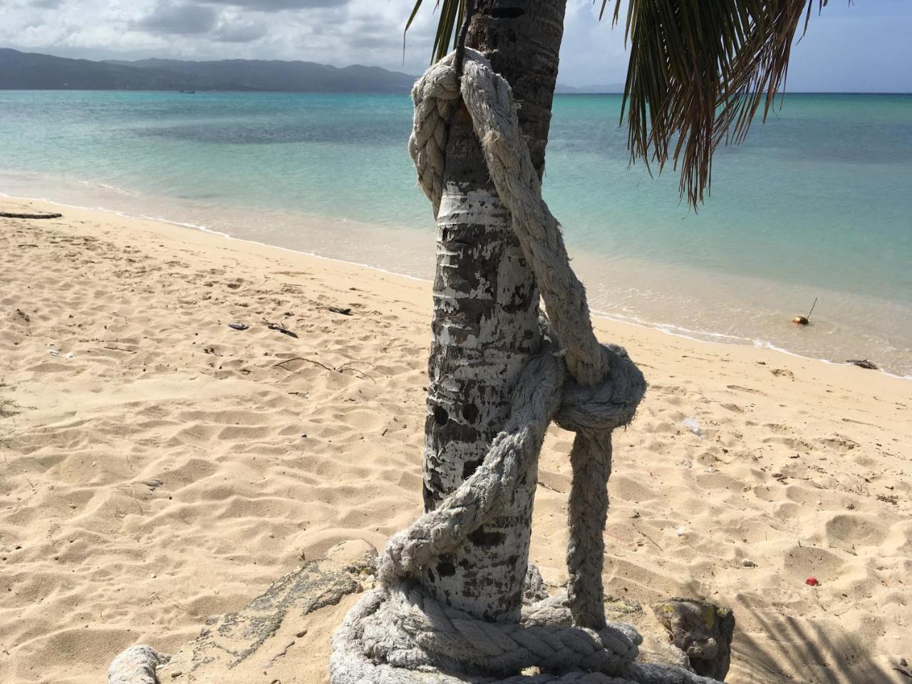 Apartment City Studios Montego Bay