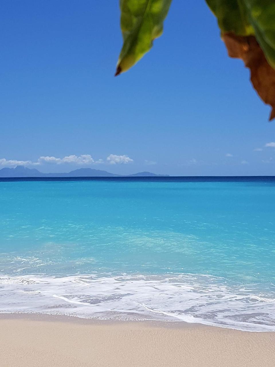 Dickenson Bay Oasis At Antigua Village Apartamento St. John's