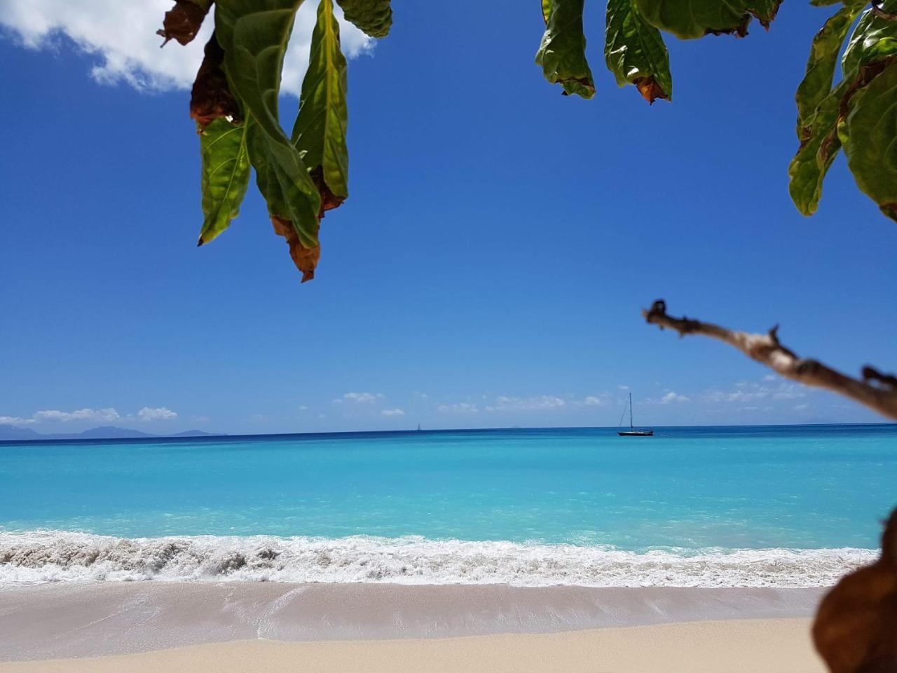 Dickenson Bay Oasis At Antigua Village