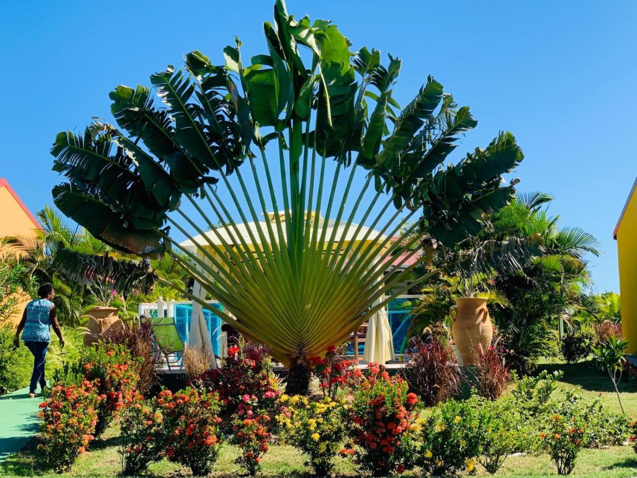 Les Palmes Du Moulin Holiday home *