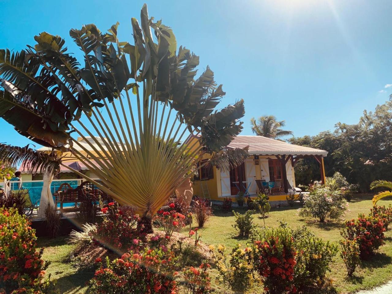 Les Palmes Du Moulin Holiday home