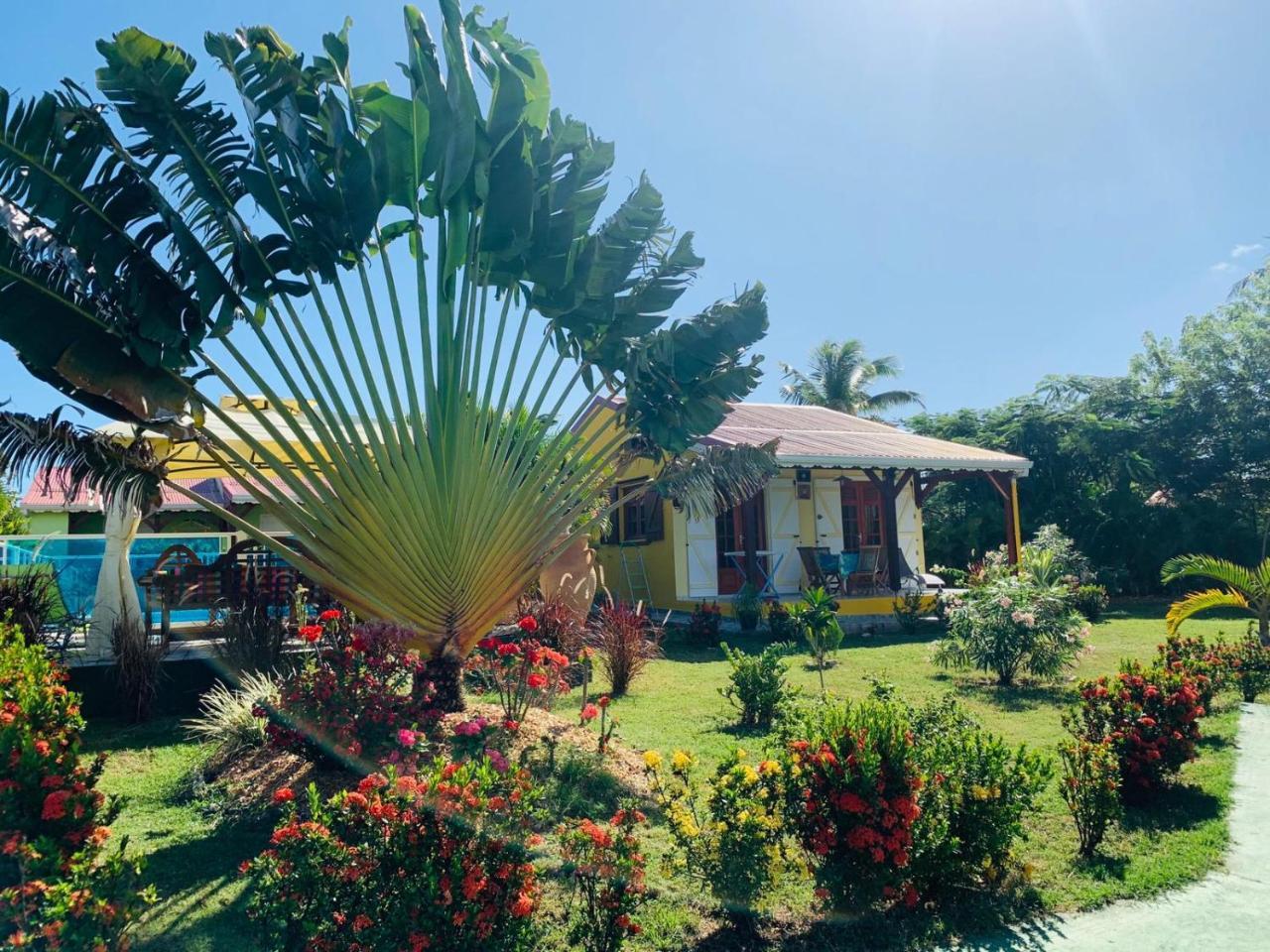 Les Palmes Du Moulin Holiday home *