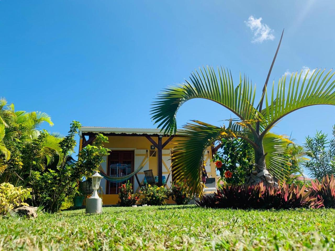 Les Palmes Du Moulin Holiday home Saint-Louis