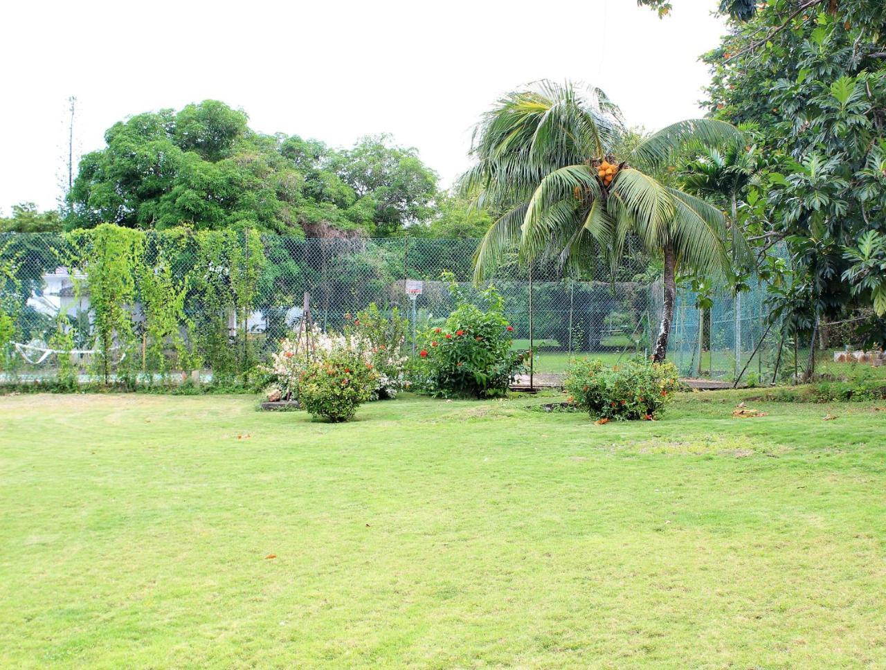 Dianna - Entire Villa, Roof Terrace, Pool, Garden, Sea Views Near Dunn's River * Ocho Rios