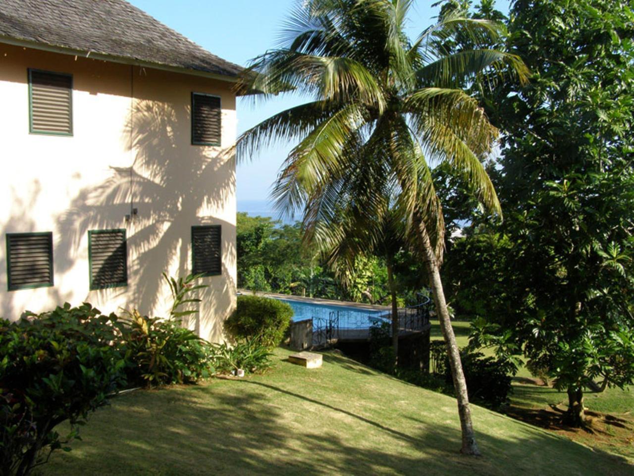 Villa Dianna - Entire Villa, Roof Terrace, Pool, Garden, Sea Views Near Dunn's River