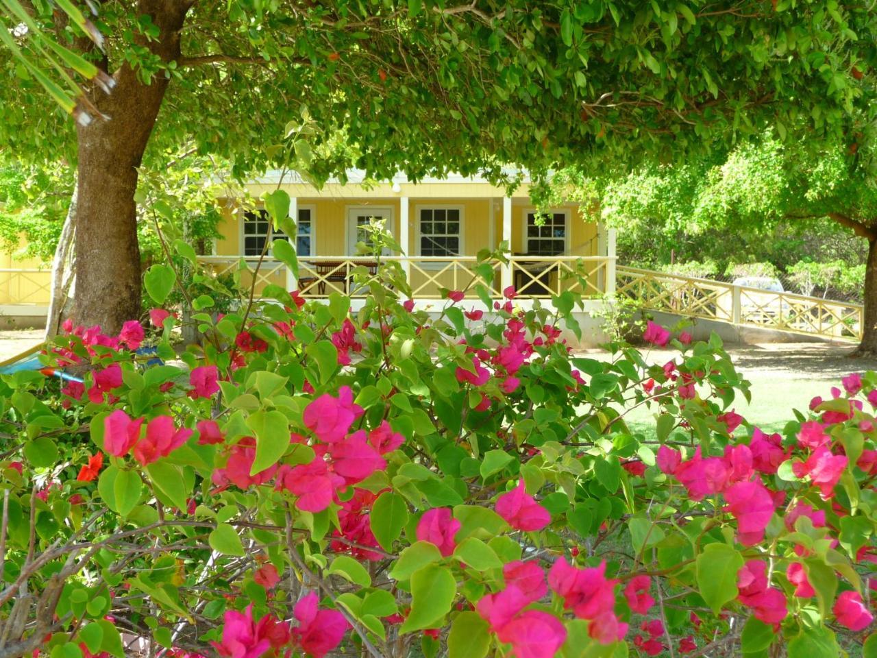 Yepton Estate Holiday park 3*