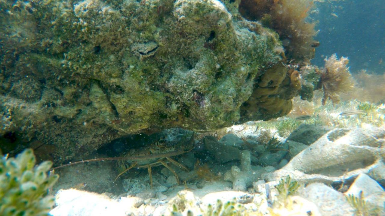 Kendara Providenciales
