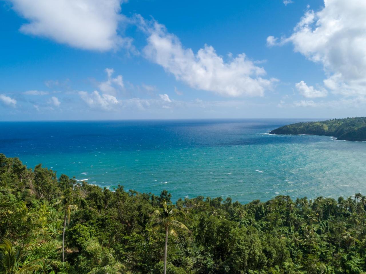 Pagua Bay House - Oceanfront Cabana's Hotel Marigot