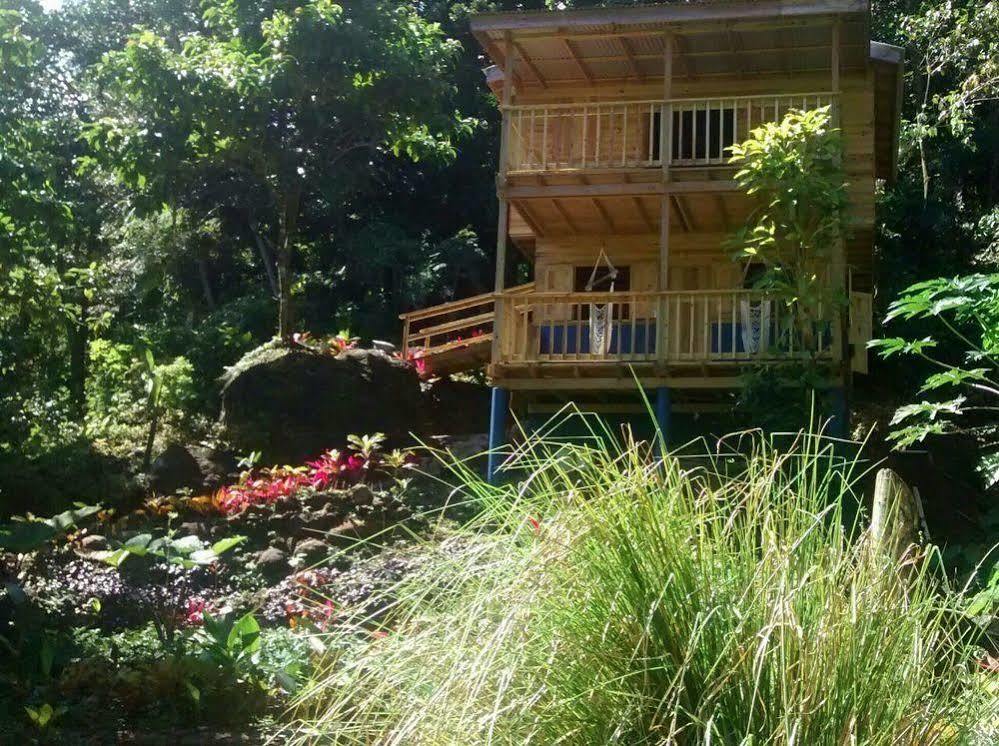 Lodge Roots Jungle Retreat