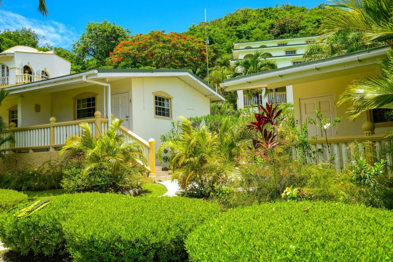 Hotel Blue Horizons Garden 3*