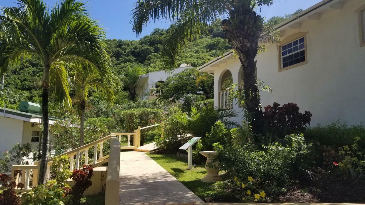 Blue Horizons Garden