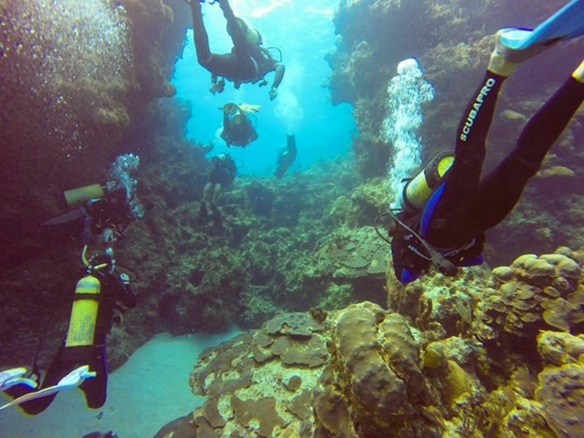 Green Turtle Club & Marina 3*