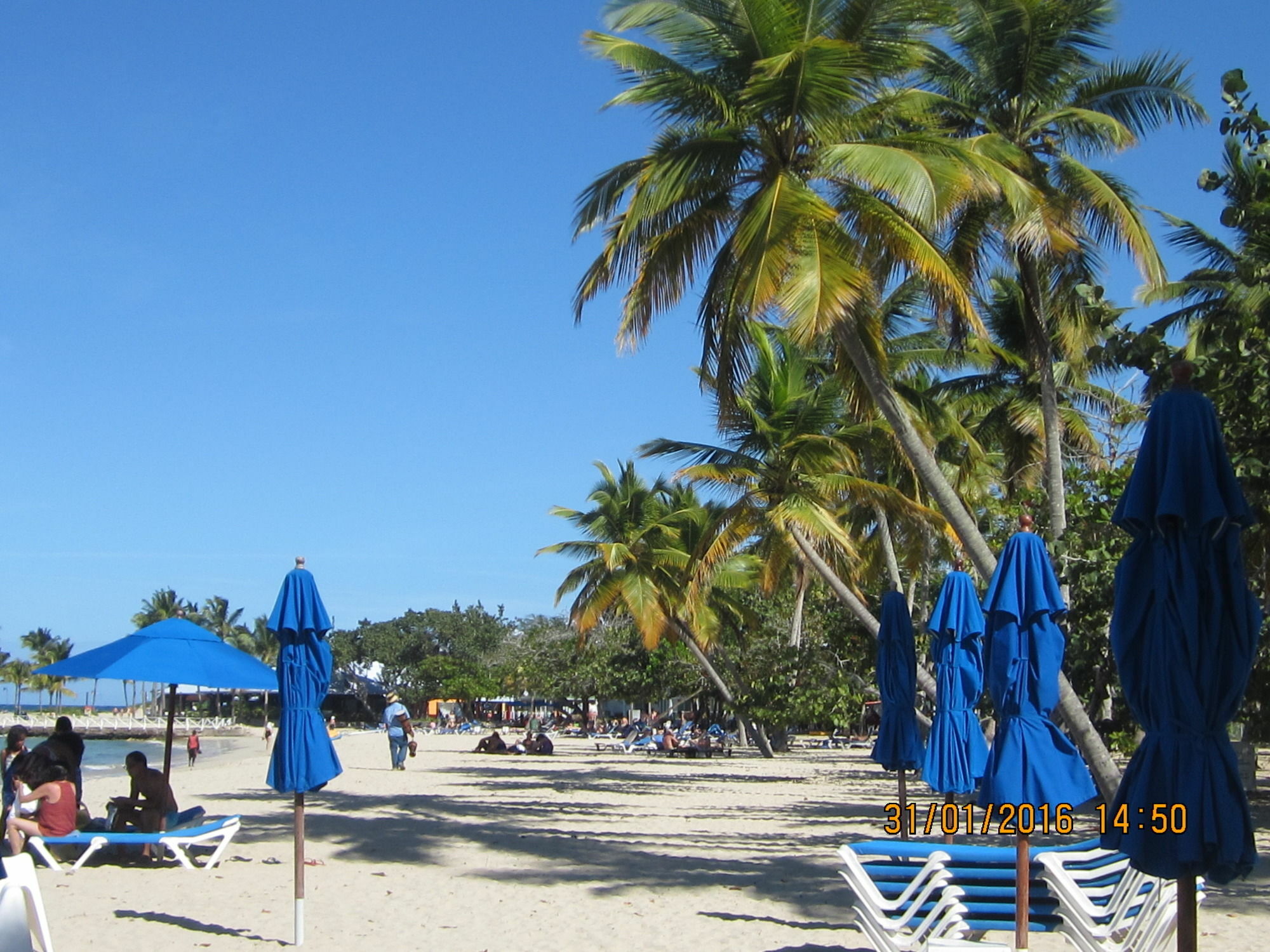 At San Marino Playa Dorada