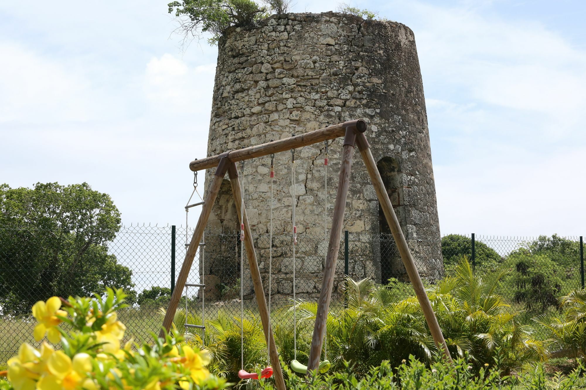 Les Palmes Du Moulin Saint-Louis