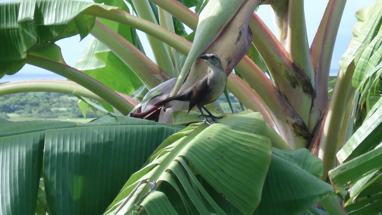Habitation Bioche
