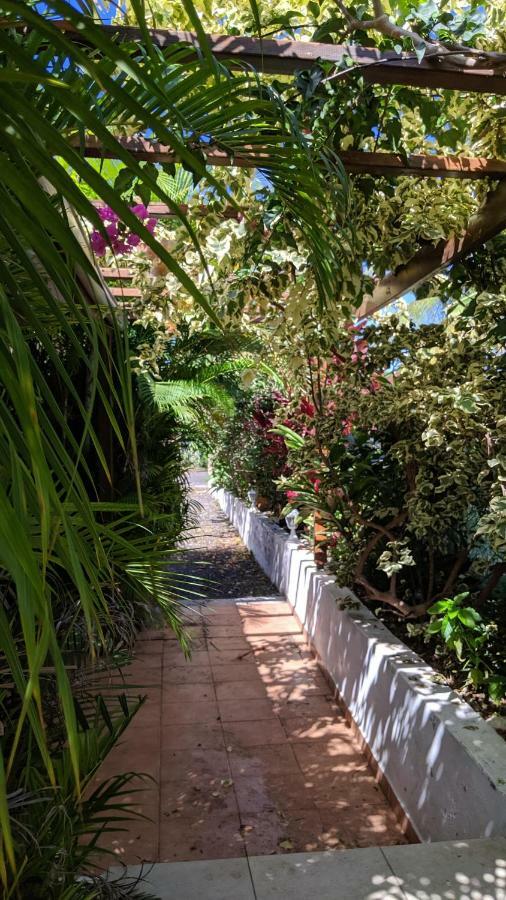 Homestay Rosa Karibella