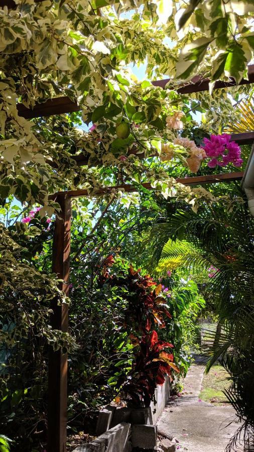 Homestay Rosa Karibella Saint-Francois (Grande-Terre)