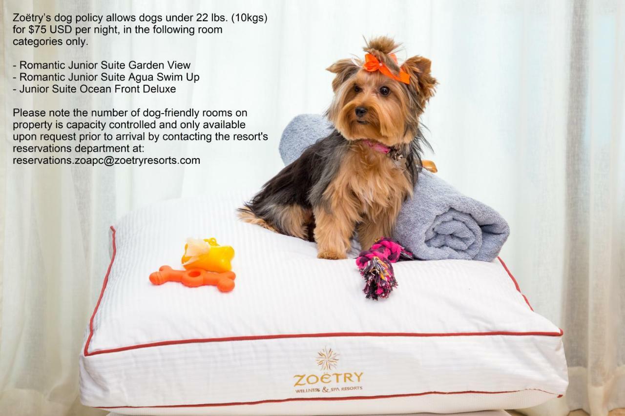 Resort Zoetry Agua 5*