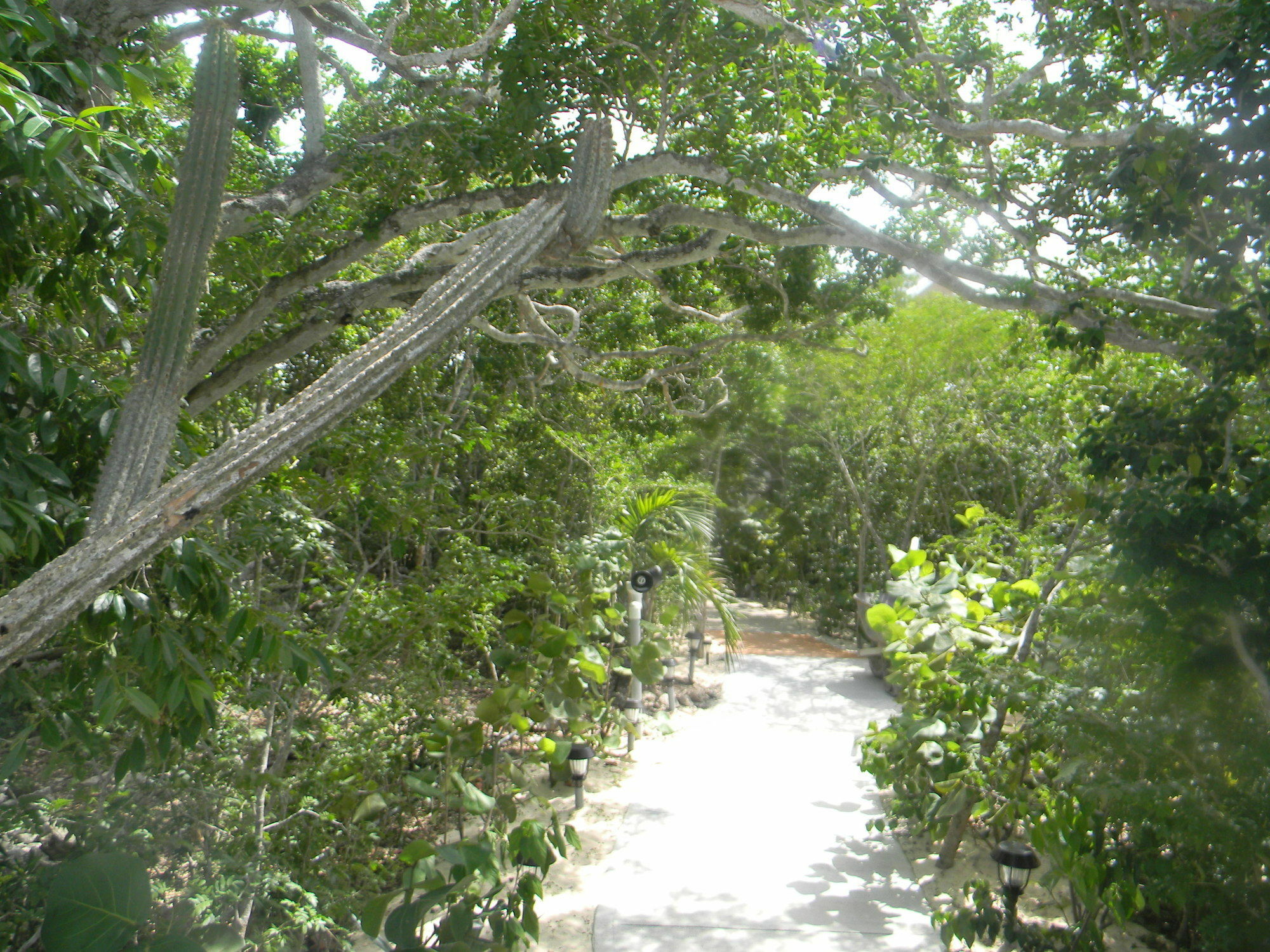 Resort Harbor Breeze Clarence Town