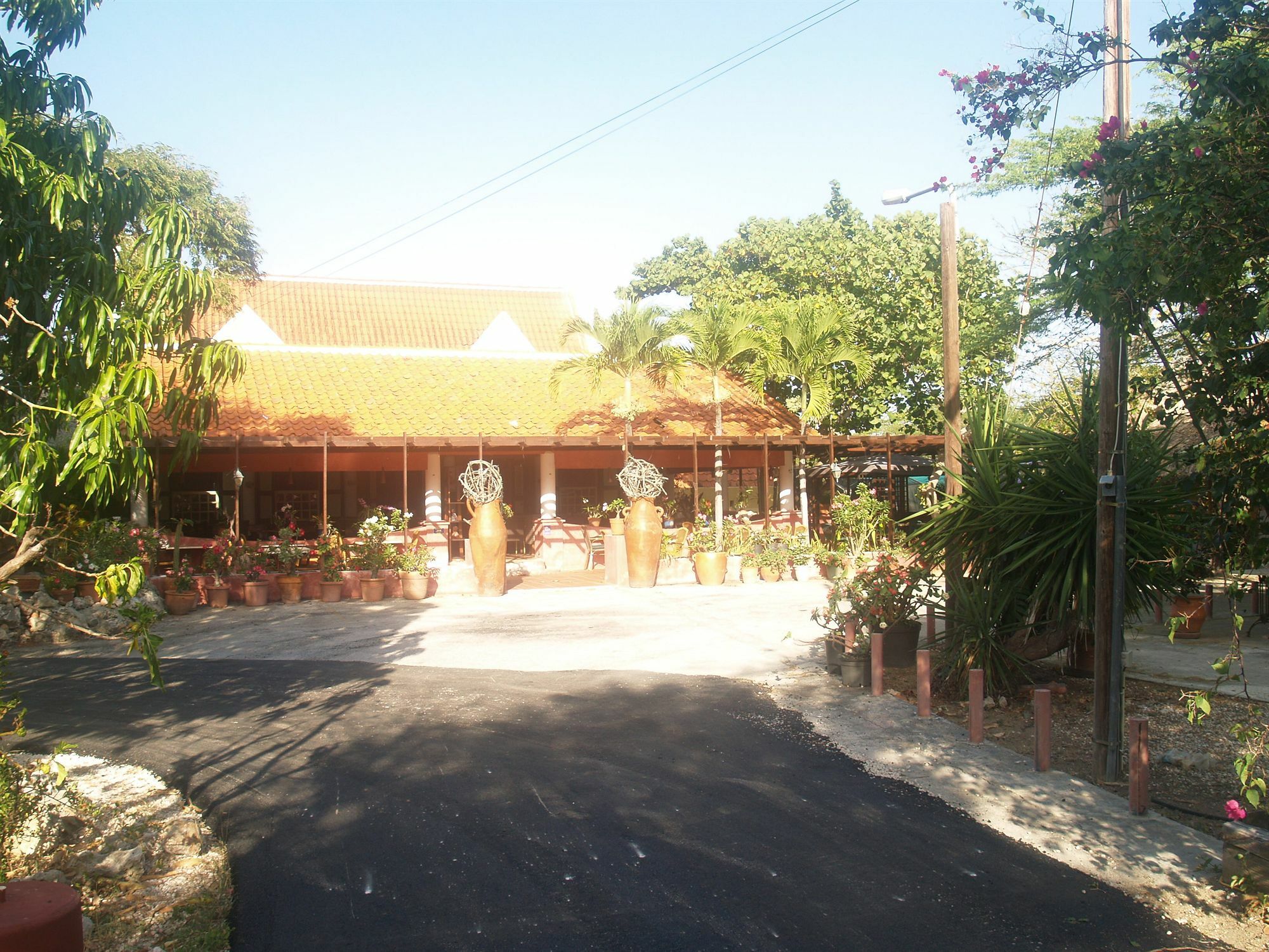 Daniel - Plantation House Hotel