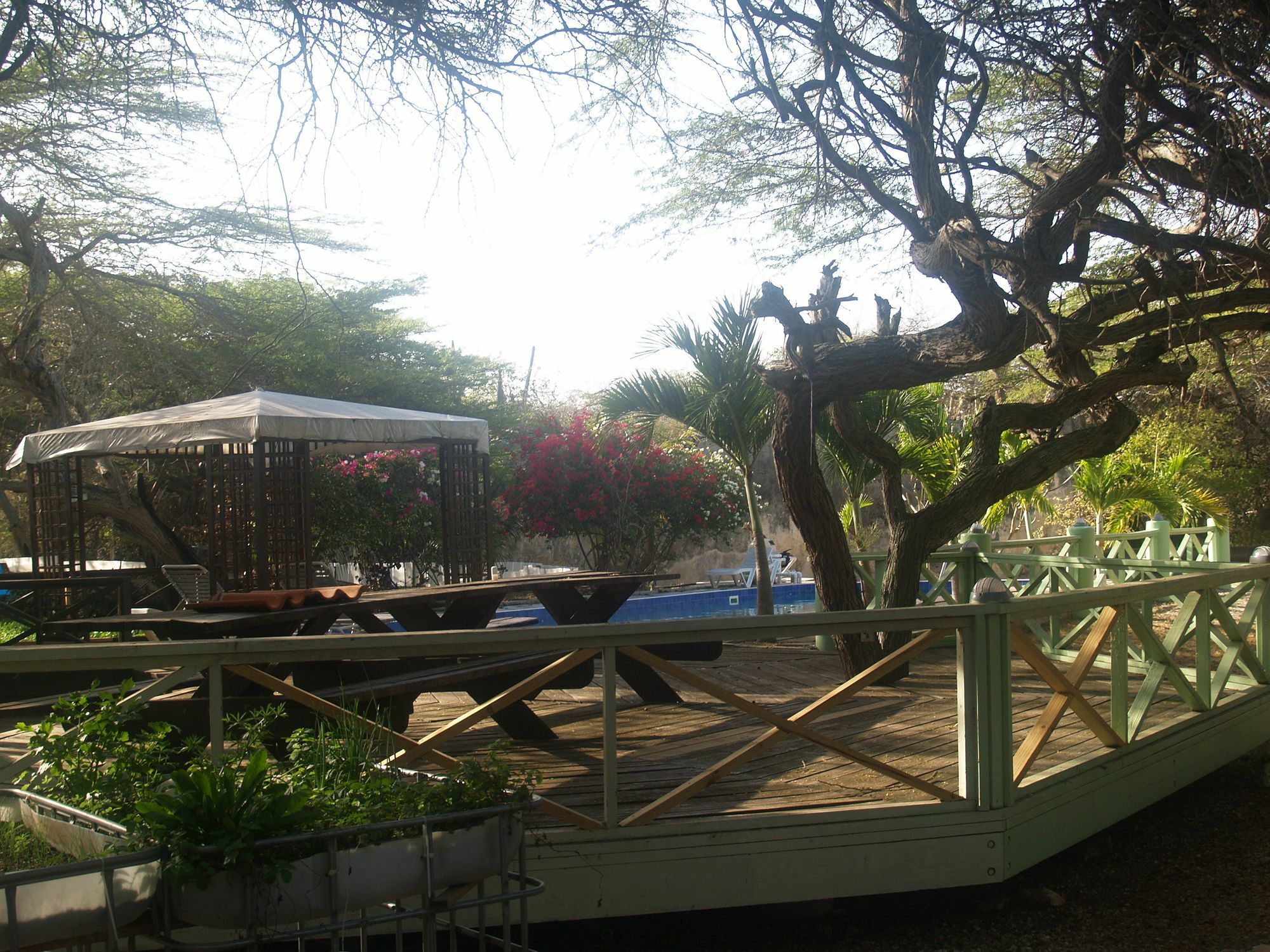Hotel Daniel - Plantation House 3*