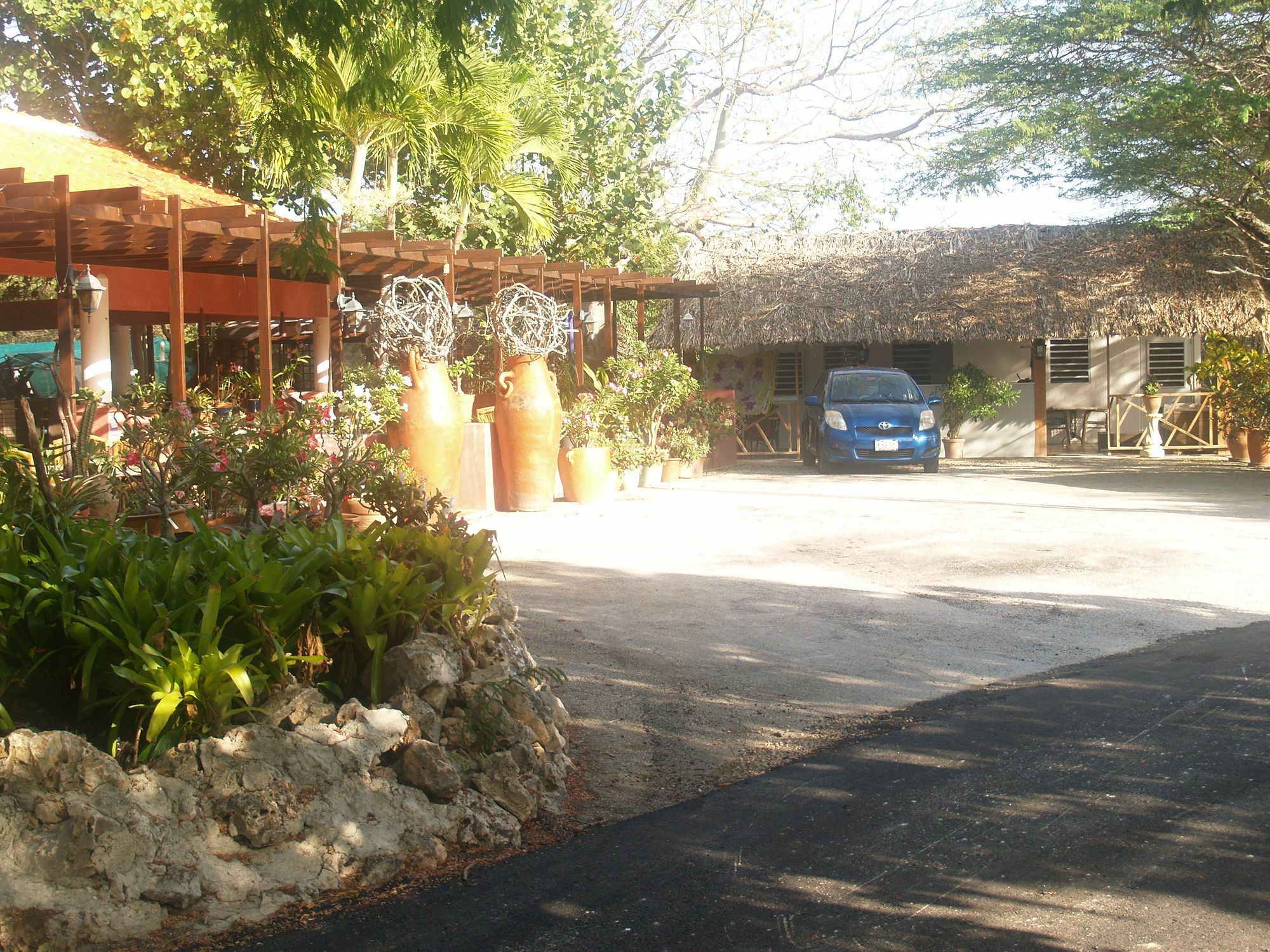 Daniel - Plantation House Hotel Tera Kora