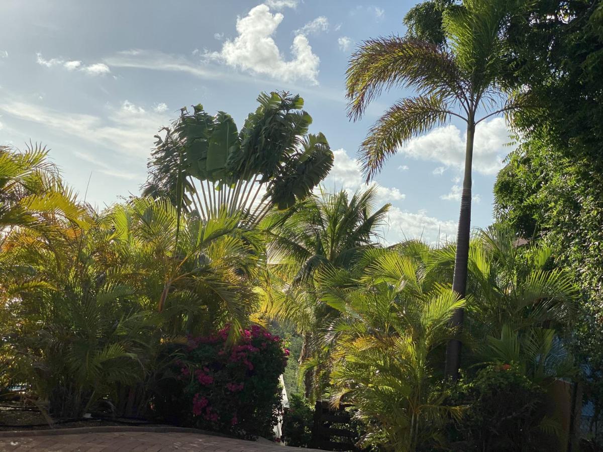 Sweet Curacao View