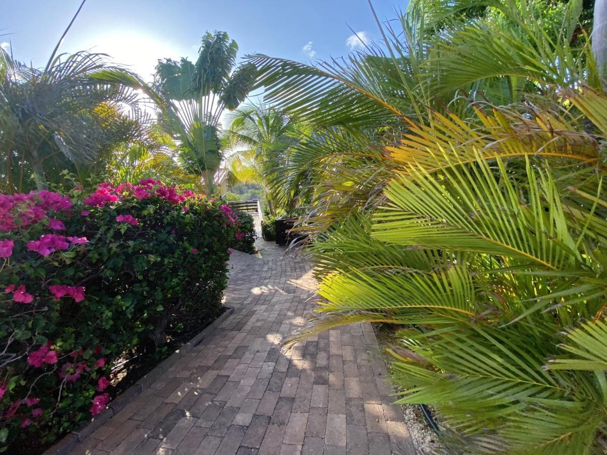 Sweet Curacao View 3*