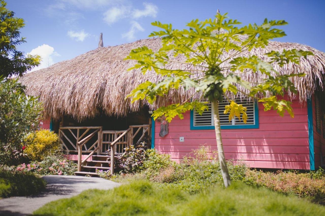 Mondi Lodge Sint Michiel