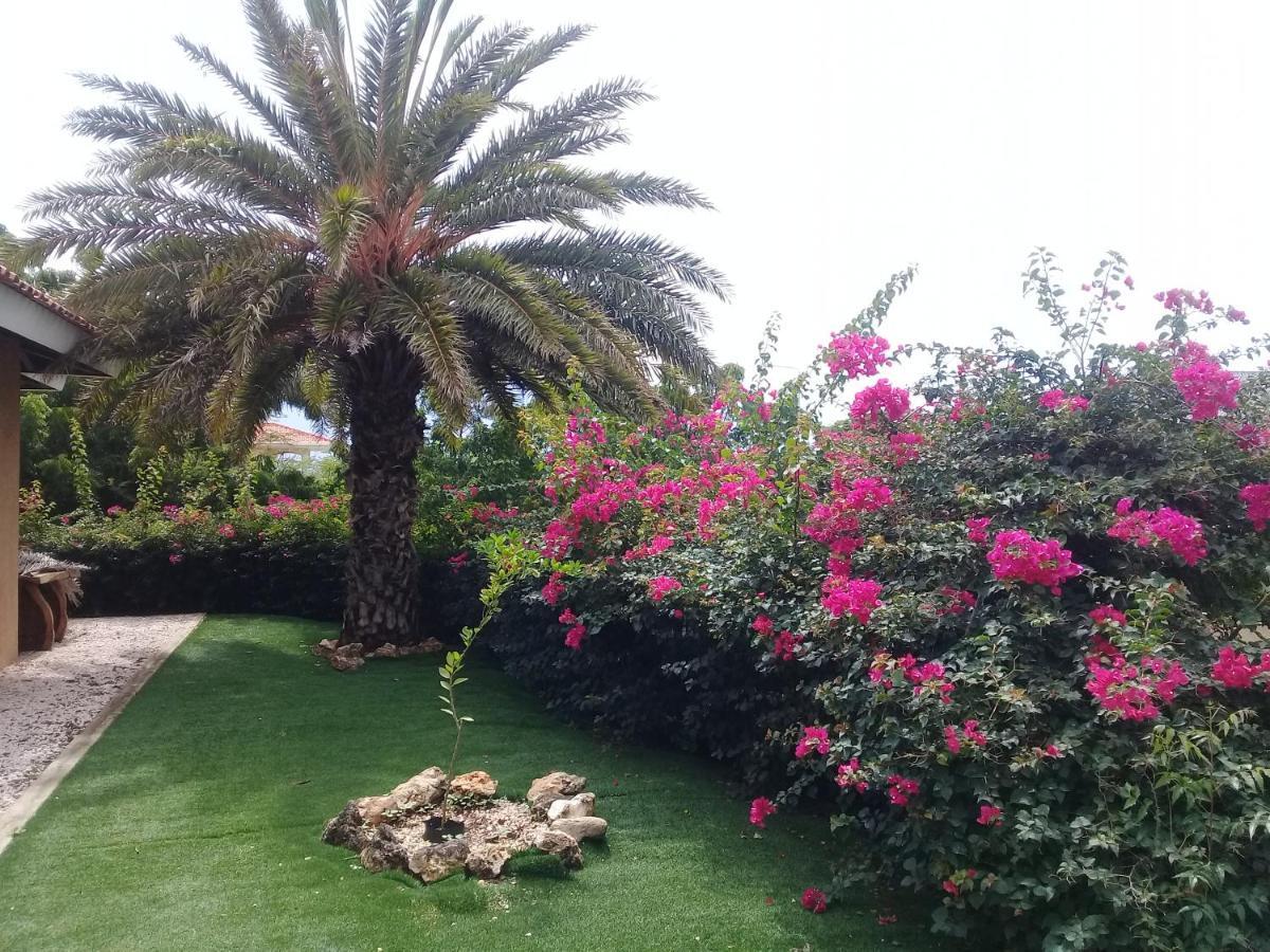 Bouganville Guest house Jan Thiel
