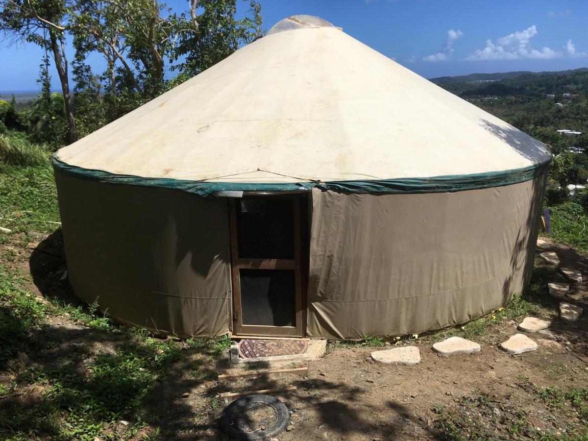 Bed & Breakfast La Casa De Vida Natural *