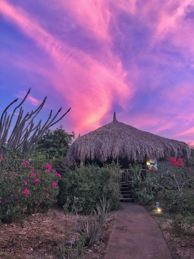 Mondi Lodge Sint Michiel