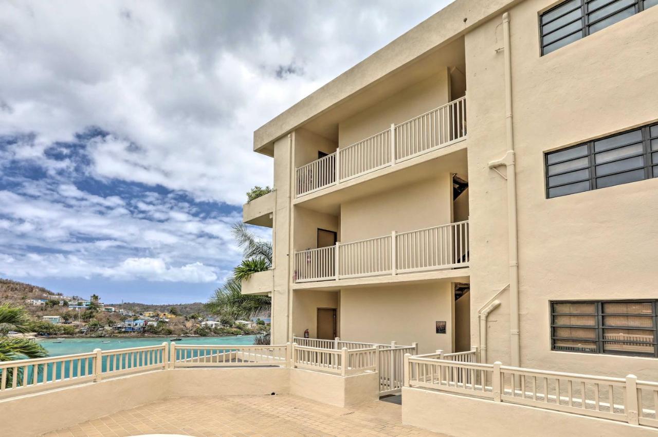Saint Thomas With Ocean Views, Walk To Beach! Apartamento Frydendal