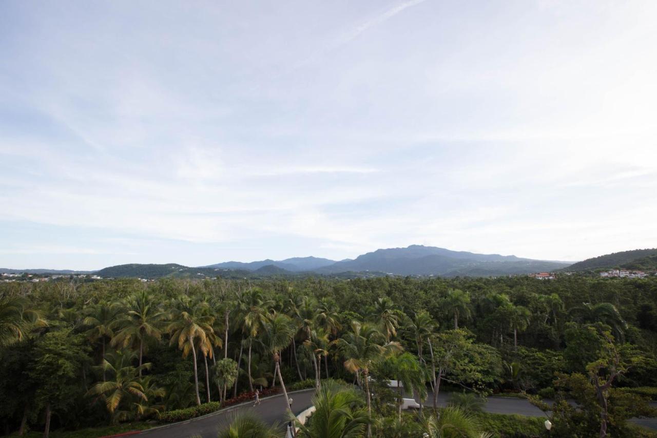Resort Wyndham Grand Rio Mar Rainforest And Golf 5*