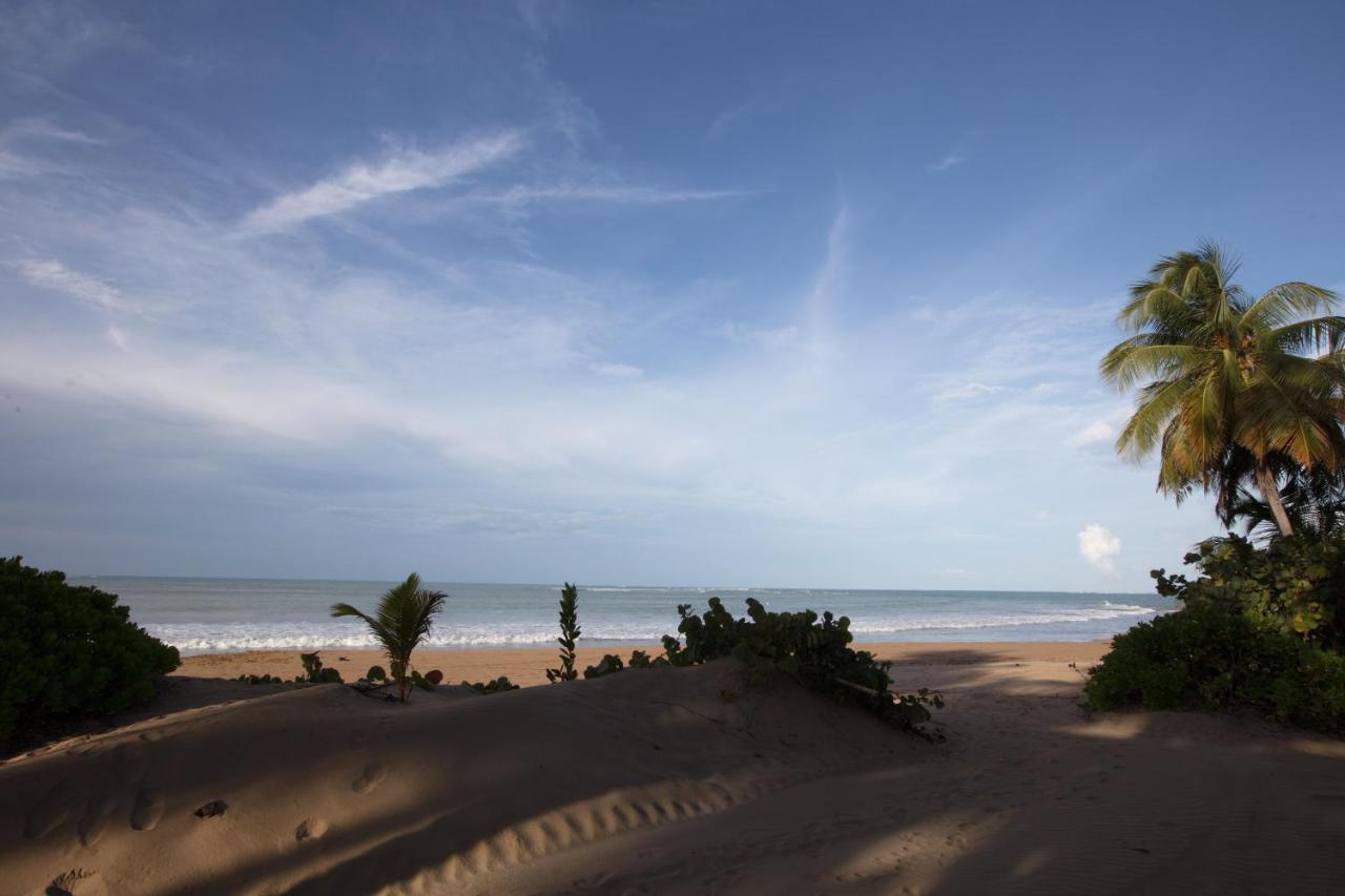 Wyndham Grand Rio Mar Rainforest And Golf 5* Rio Grande