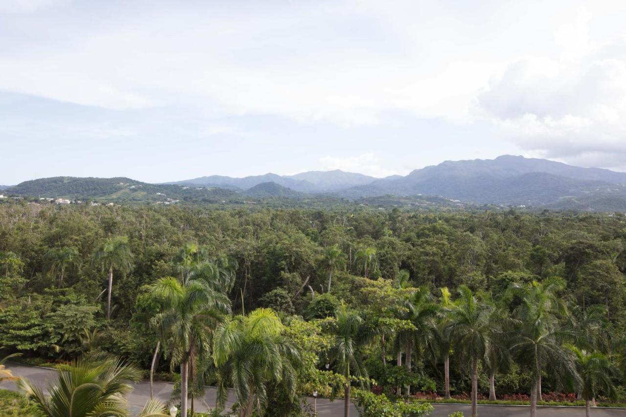Wyndham Grand Rio Mar Rainforest And Golf Resort Rio Grande